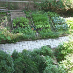 backyard-vegetable-garden-8