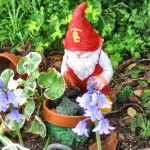 garden-gnome-21