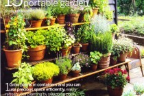 garden-plants-ideas-71