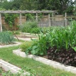 herb-and-vegetable-garden-5