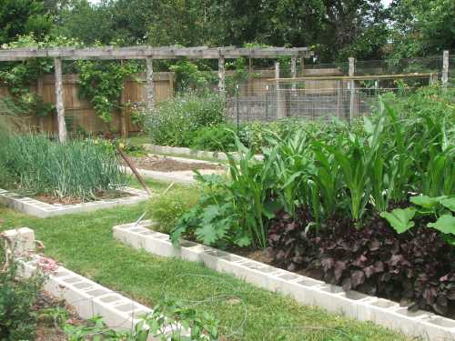 herb-and-vegetable-garden-51