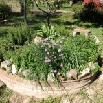 herb-garden-20