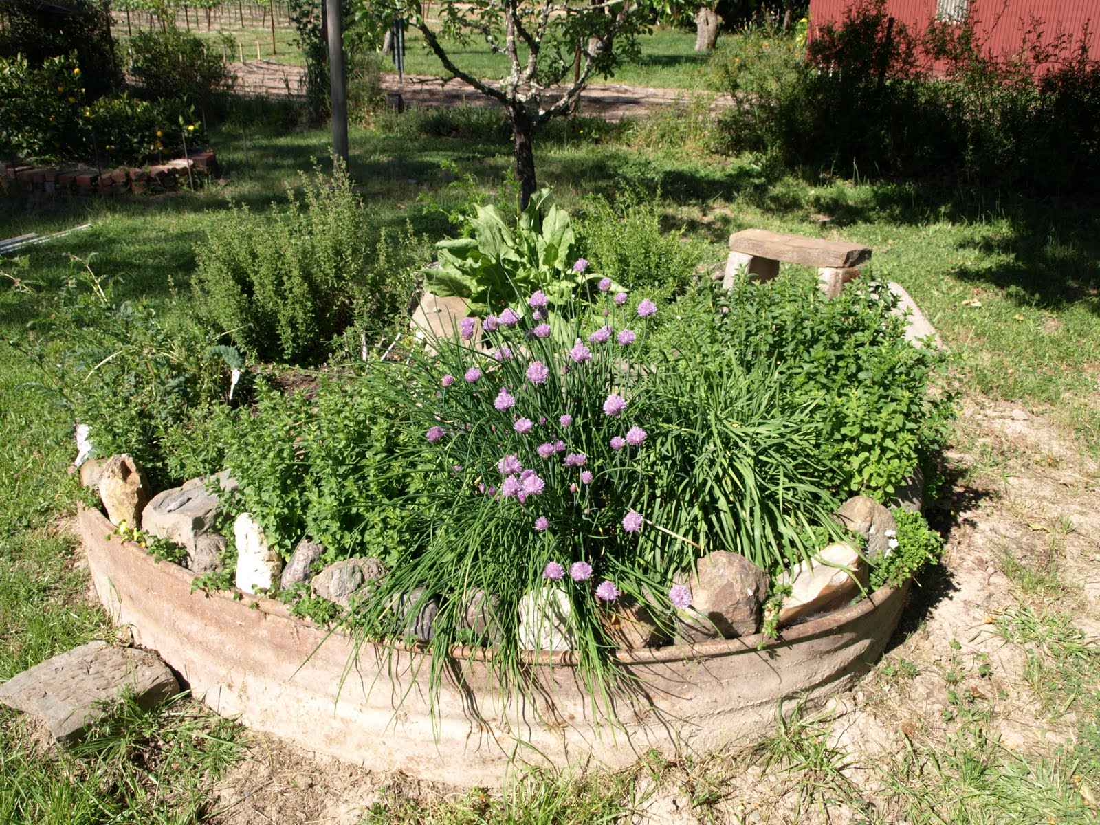 herb-garden-designs-81