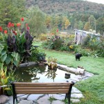 home-and-garden-landscape-designs-6
