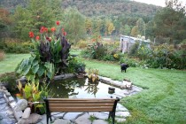 home-and-garden-landscape-designs-61