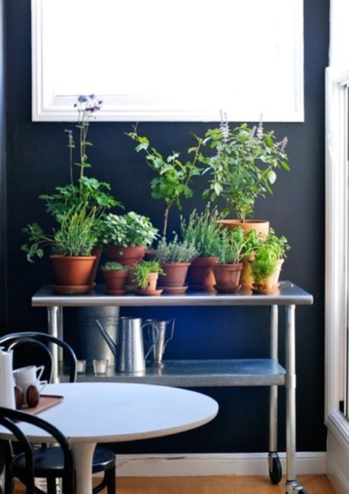 indoor-herb-garden-design-7