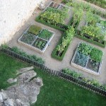 indoor-vegetable-garden-7