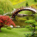 japanese-garden-design-plans-9