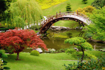 japanese-garden-design-plans-91
