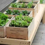 raised-bed-vegetable-garden-10