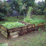 raised-garden-design-ideas-4