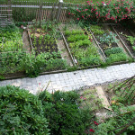 vegetable-garden-designs-layouts-10