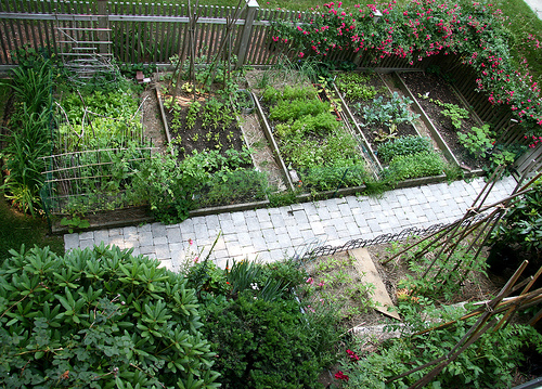 vegetable-garden-designs-layouts-101