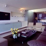 apartment-living-room-decorating-ideas-10