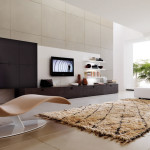 contemporary-living-room-design-ideas-9