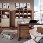 home-office-designs-6